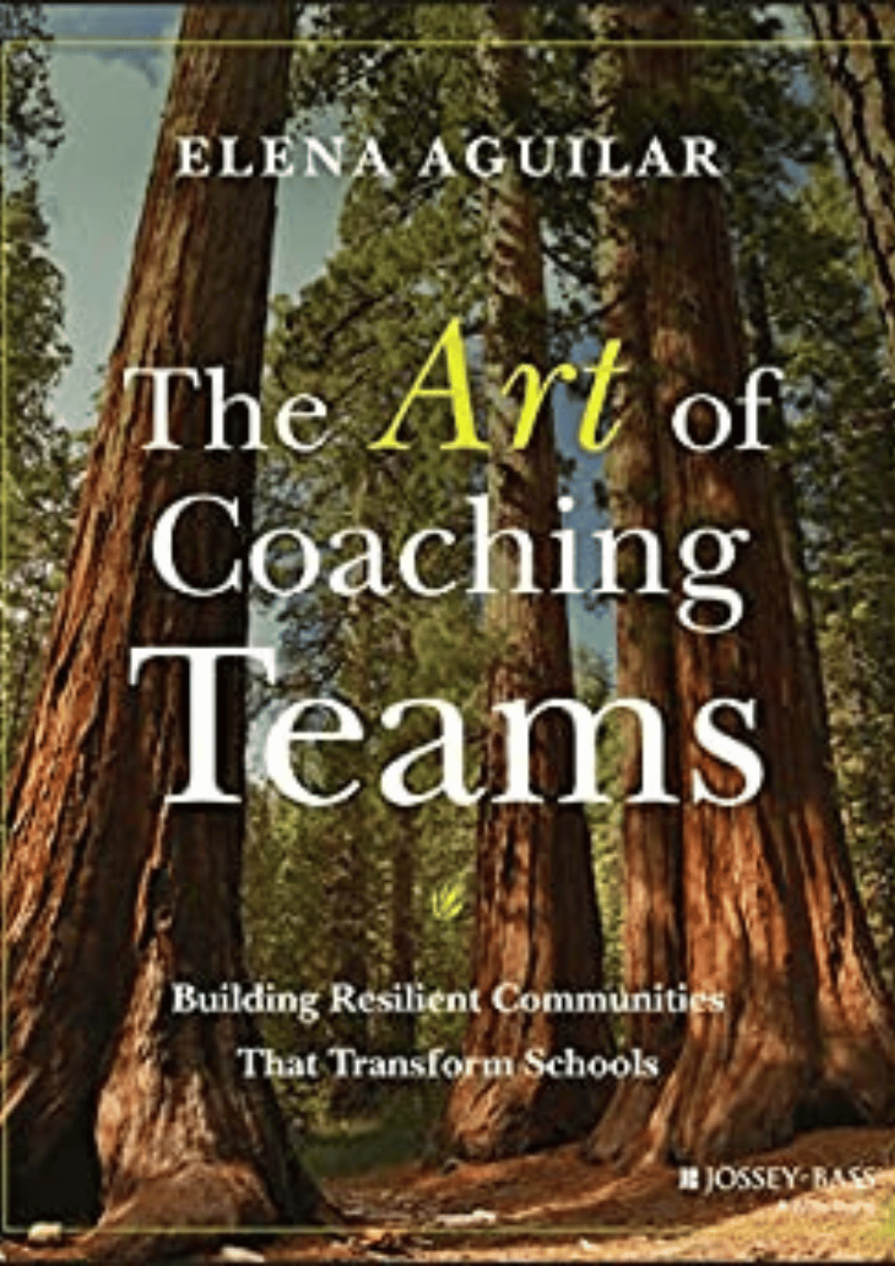 The Art of Coaching Teams: Building Resilient Communities that Transform Schools by Elena Aguilar